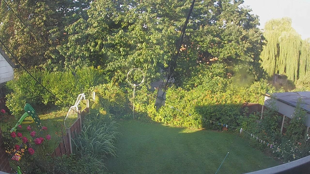 20260731_063952_cam1.jpg