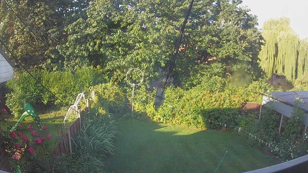 20260731_064437_cam1.jpg