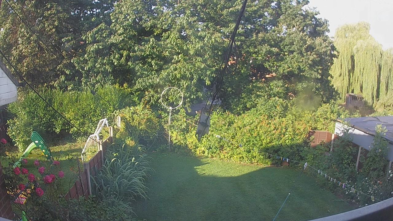 20260731_064922_cam1.jpg
