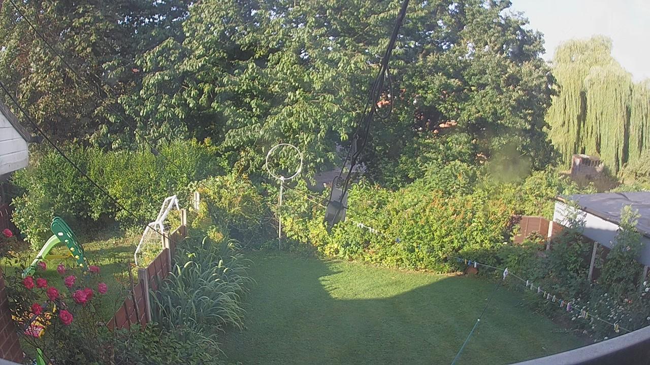 20260731_065407_cam1.jpg