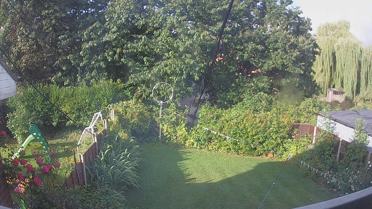 20260731_070824_cam1.jpg