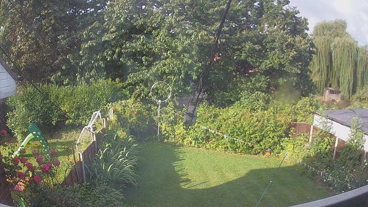 20260731_071755_cam1.jpg