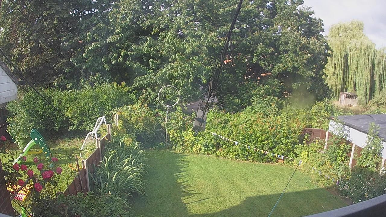 20260731_073638_cam1.jpg
