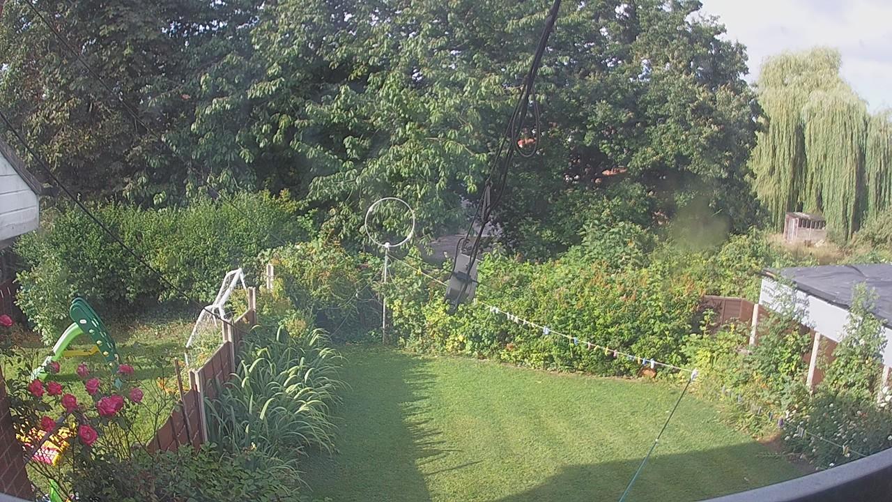20260731_074114_cam1.jpg