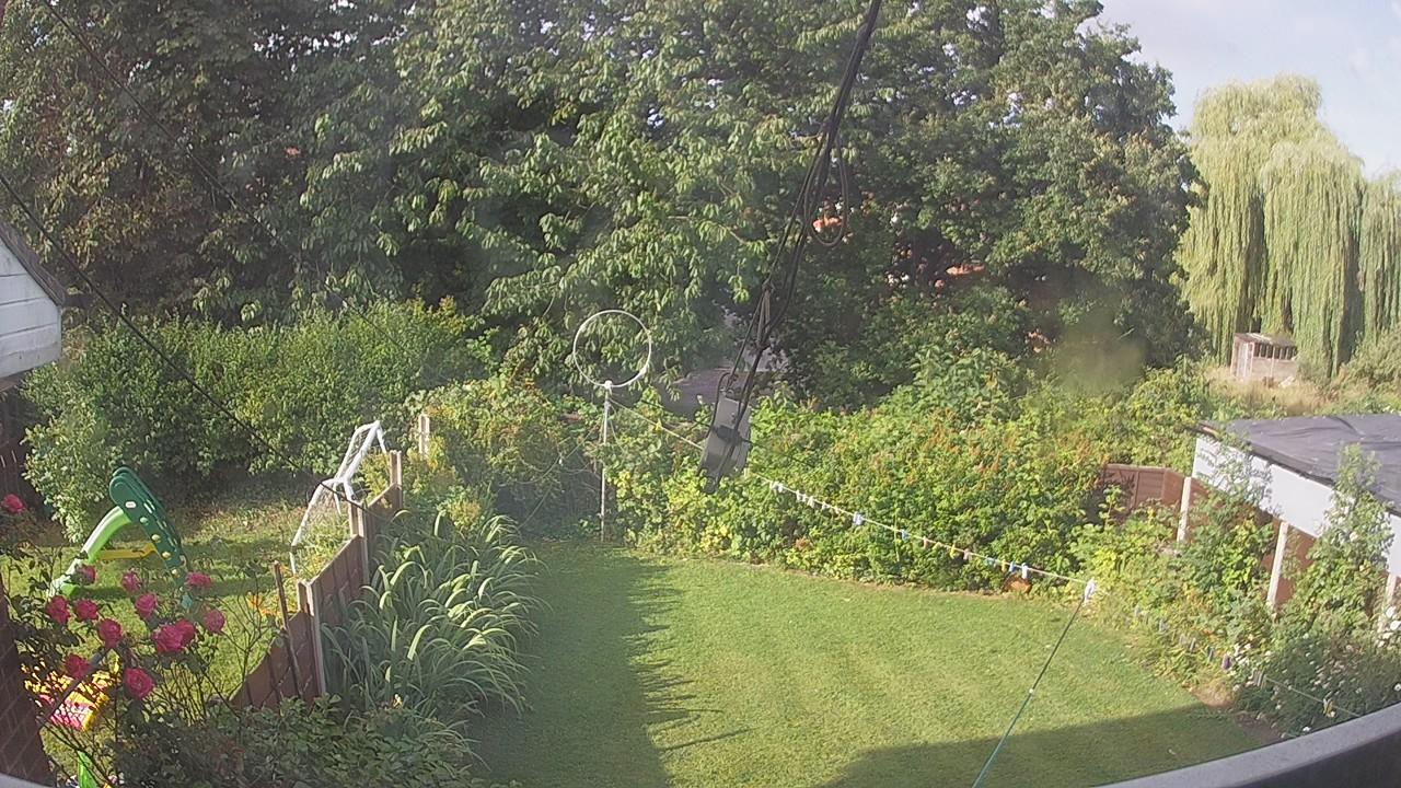 20260731_074550_cam1.jpg