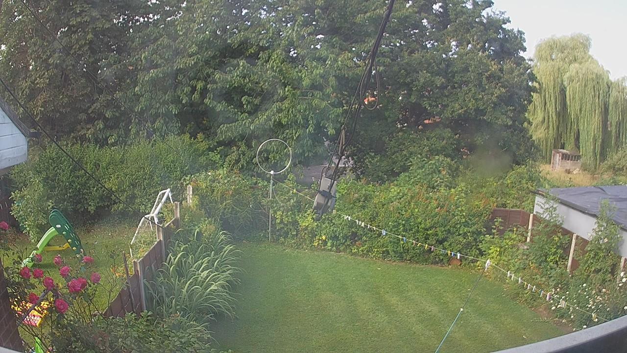 20260731_075026_cam1.jpg