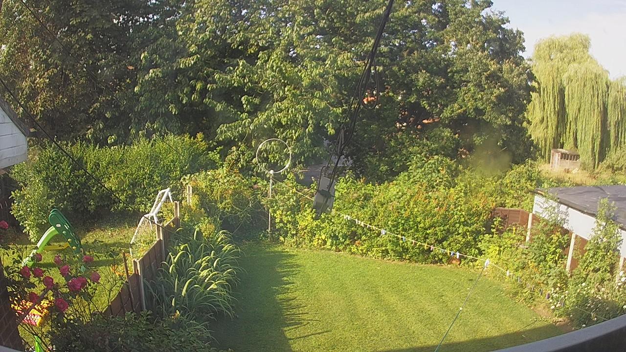 20260731_075502_cam1.jpg