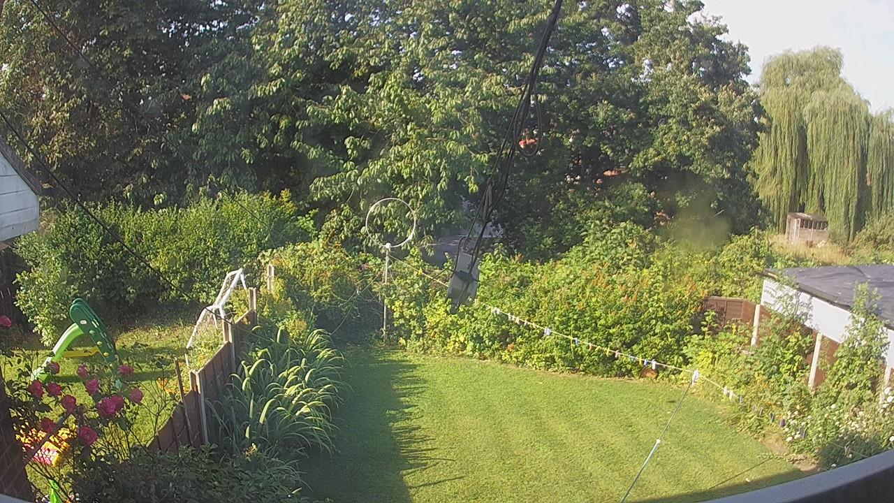 20260731_075938_cam1.jpg