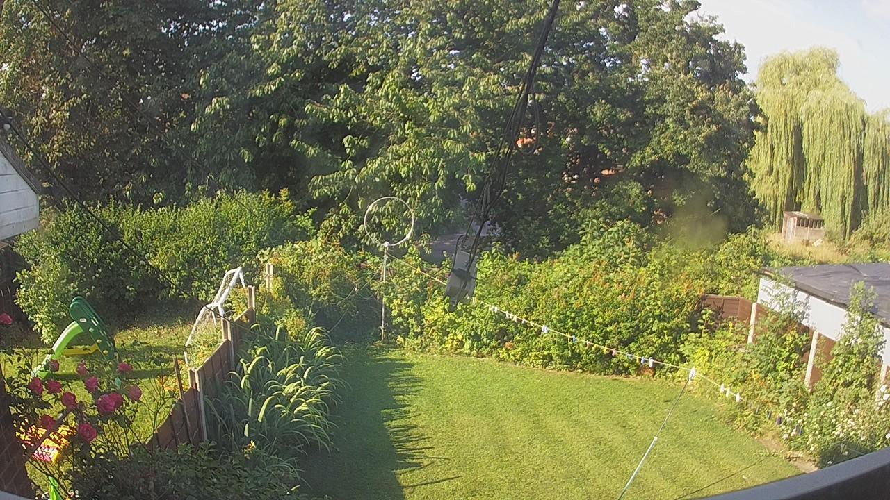 20260731_080423_cam1.jpg