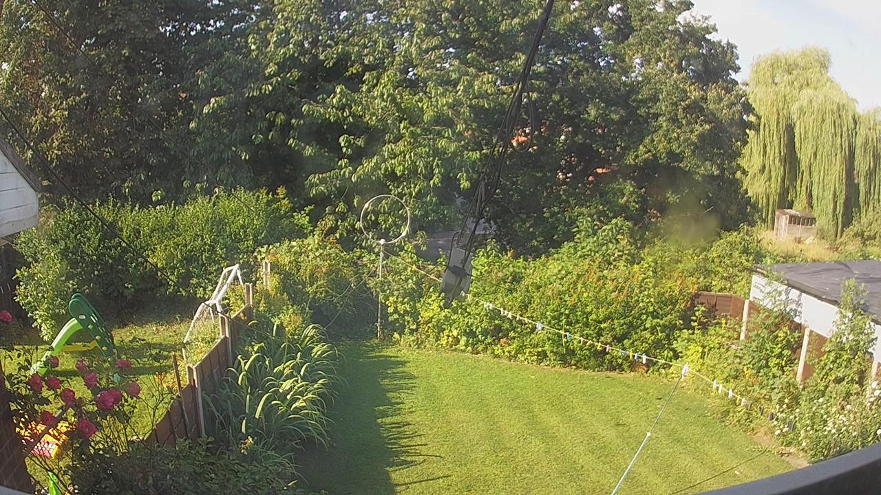 20260731_080908_cam1.jpg