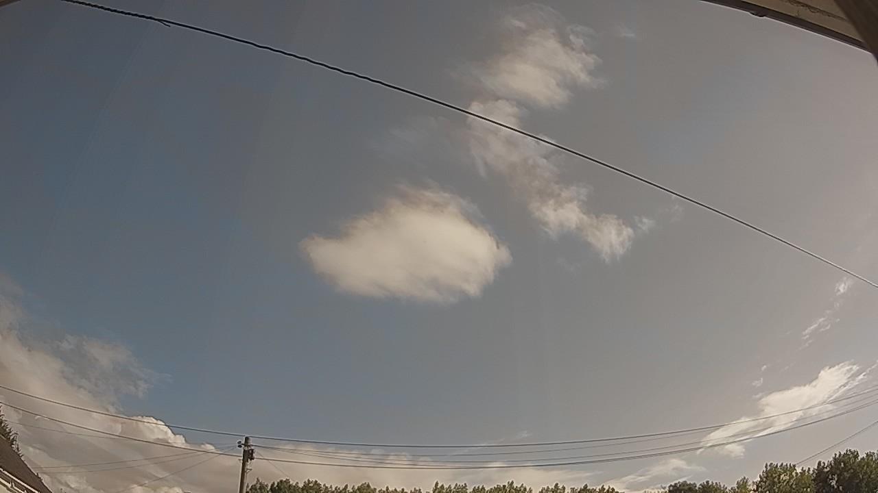 20260731_081354_cam2.jpg