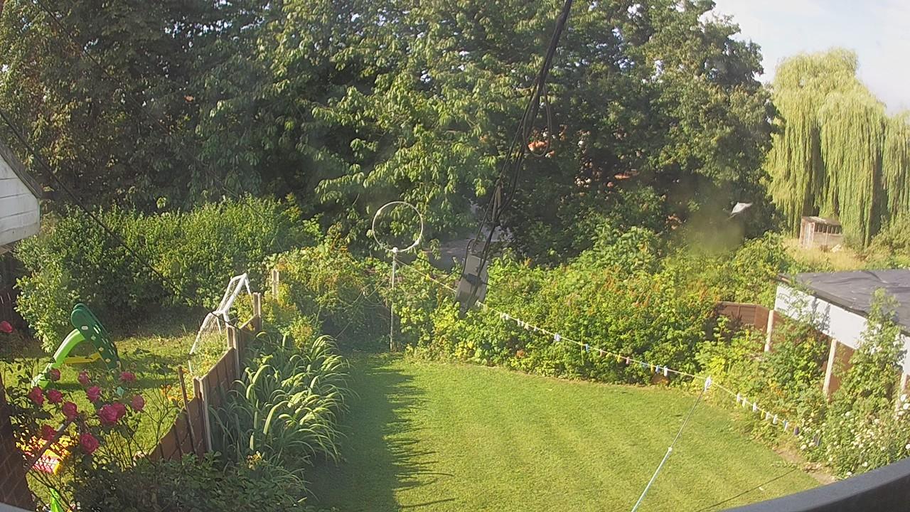 20260731_081838_cam1.jpg