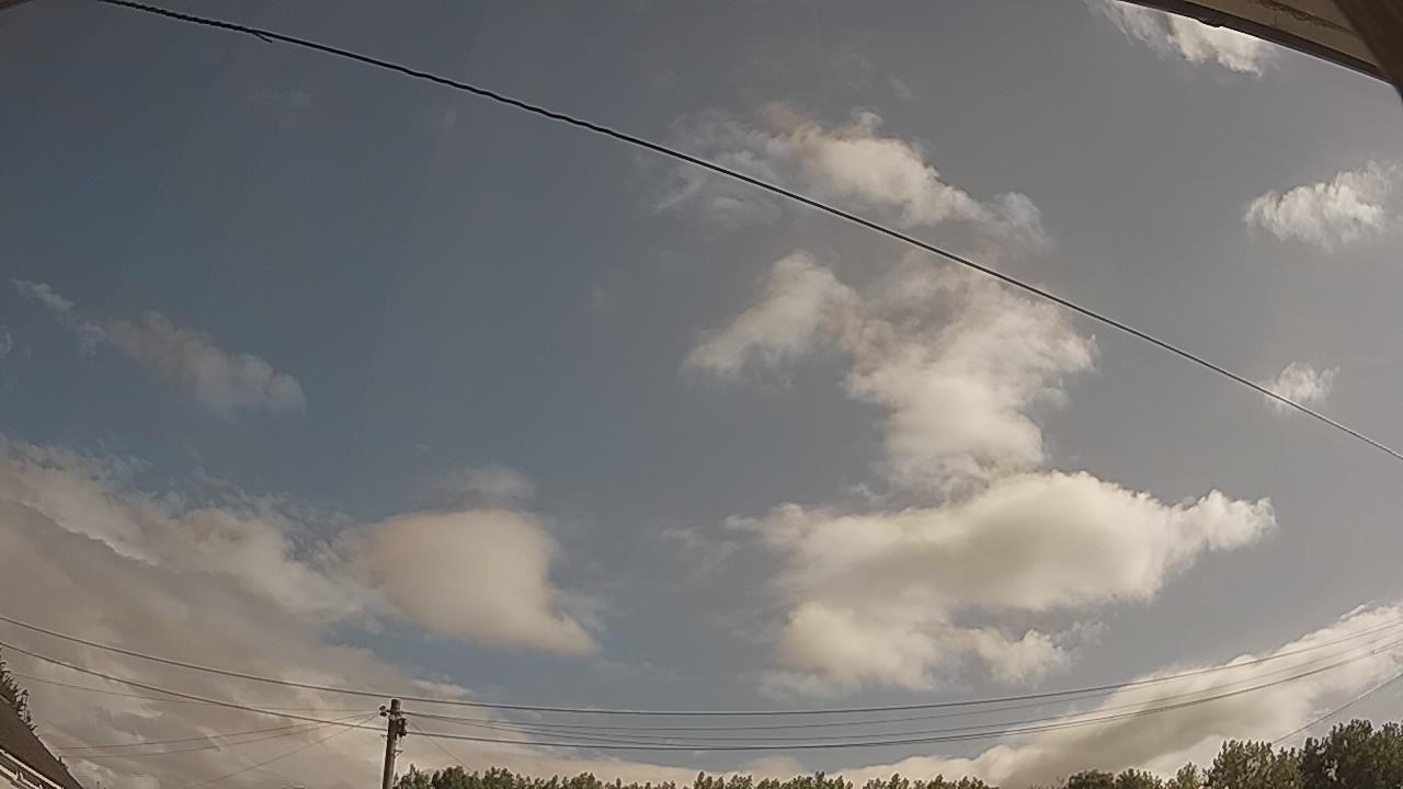 20260731_081839_cam2.jpg