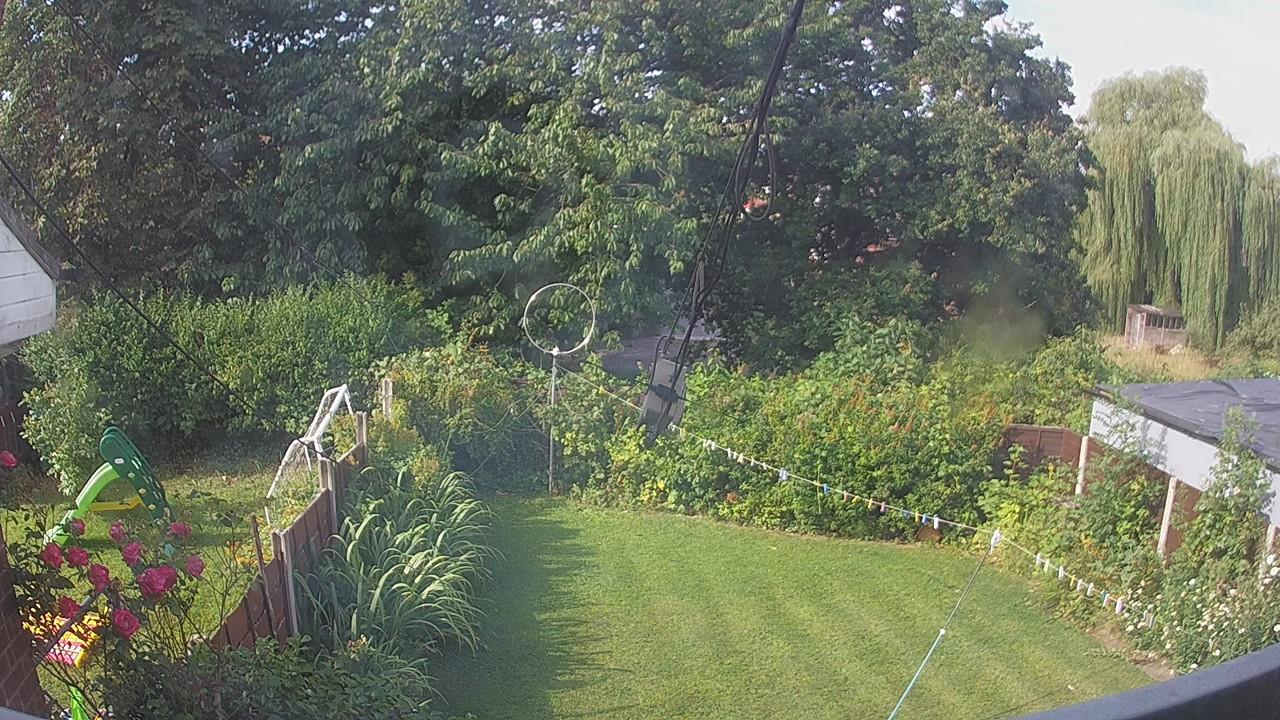 20260731_082323_cam1.jpg