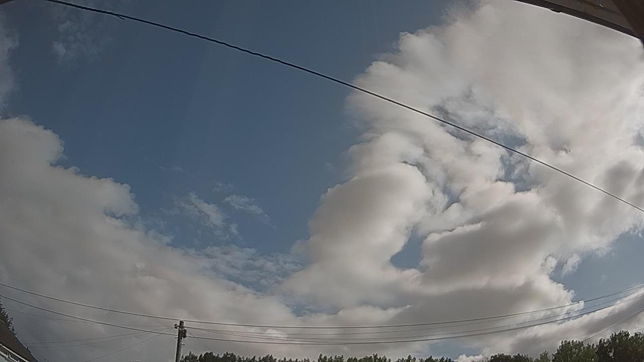 20260731_082324_cam2.jpg