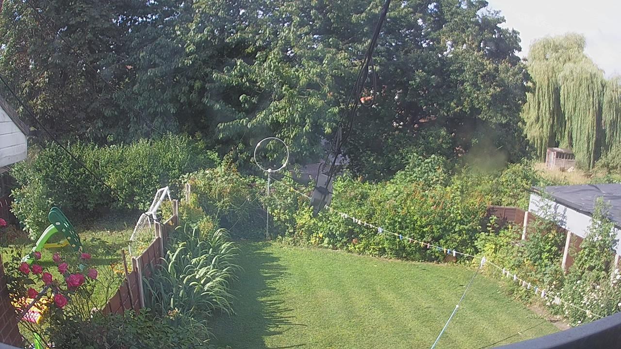 20260731_082809_cam1.jpg