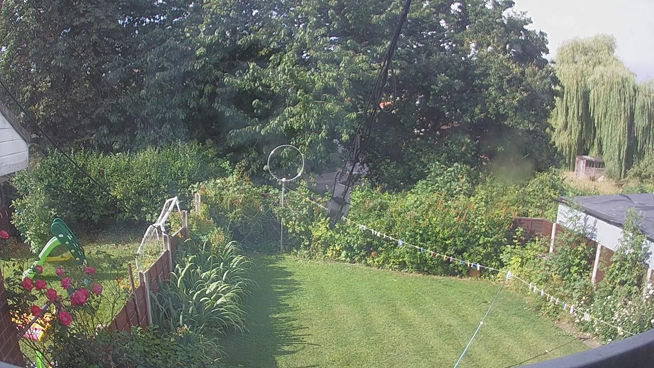 20260731_083217_cam1.jpg