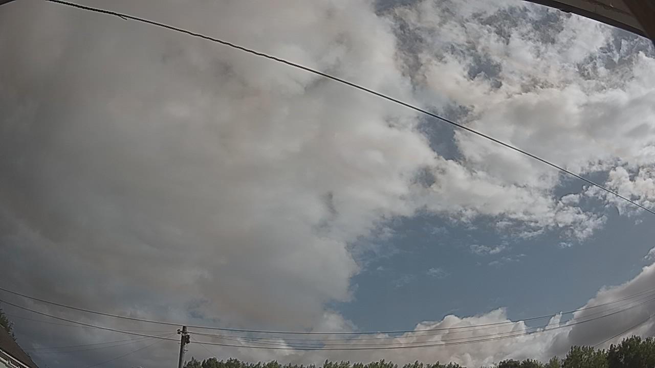 20260731_083626_cam2.jpg