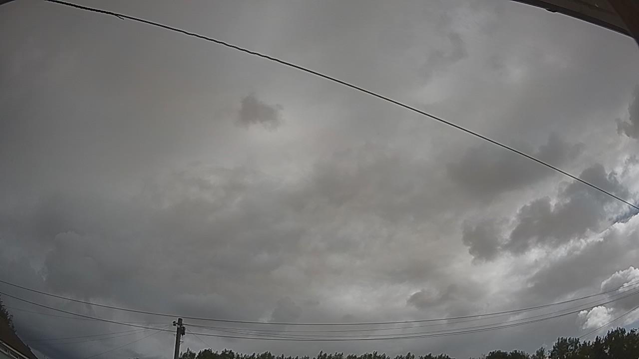 20260731_085302_cam2.jpg