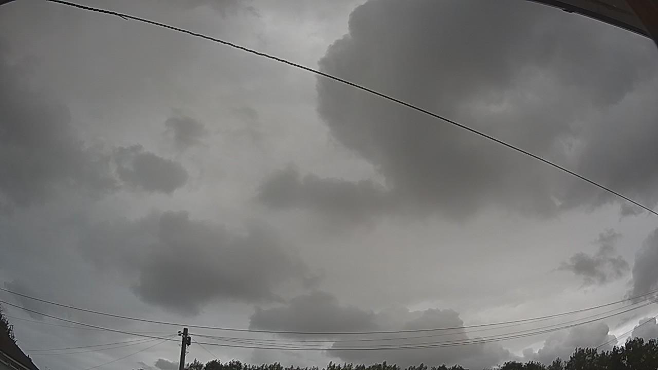20260731_090530_cam2.jpg