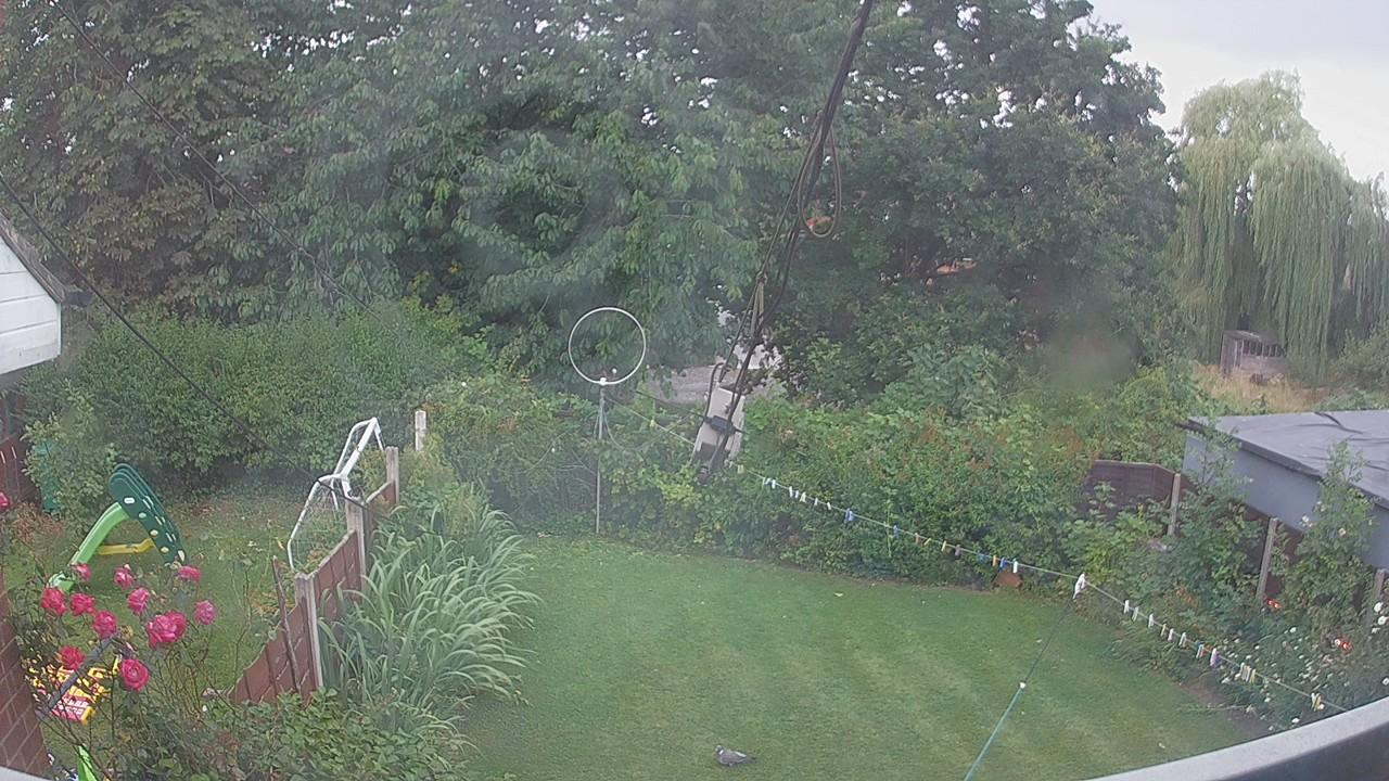 20260731_090938_cam1.jpg