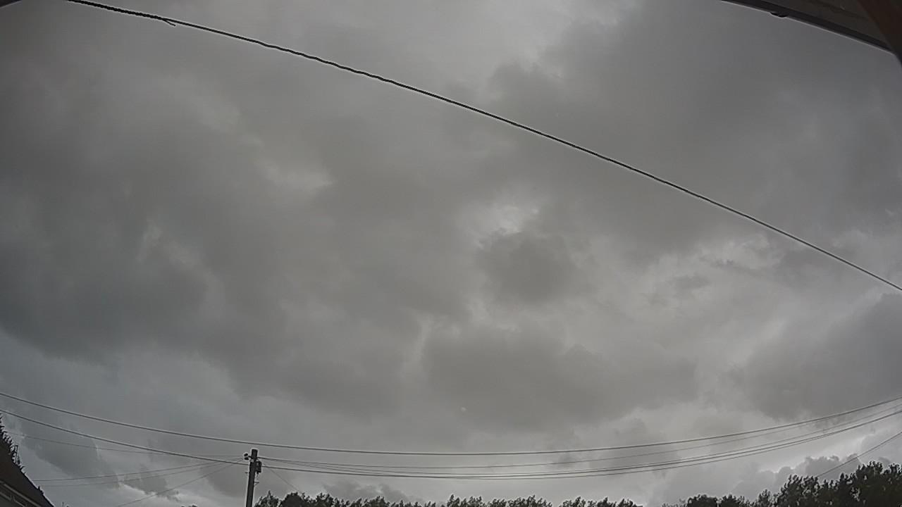 20260731_091347_cam2.jpg
