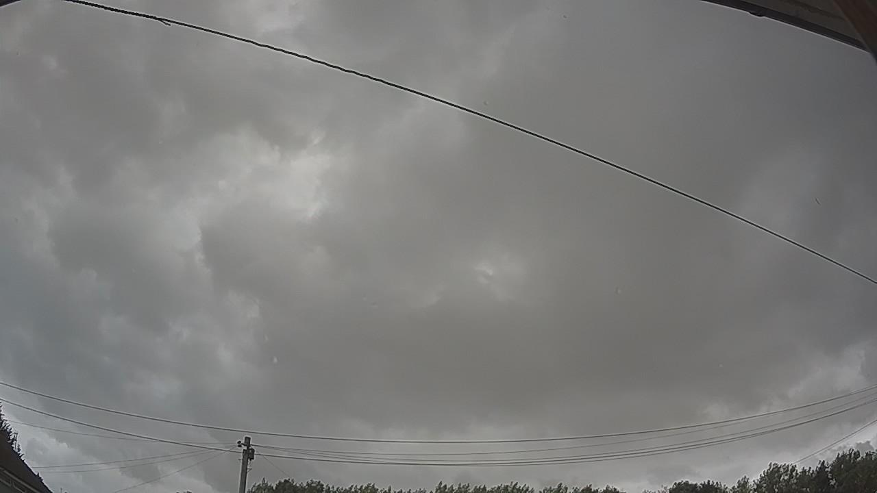 20260731_091757_cam2.jpg