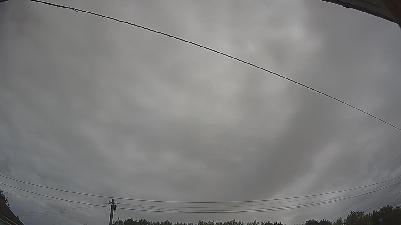 20260731_094738_cam2.jpg