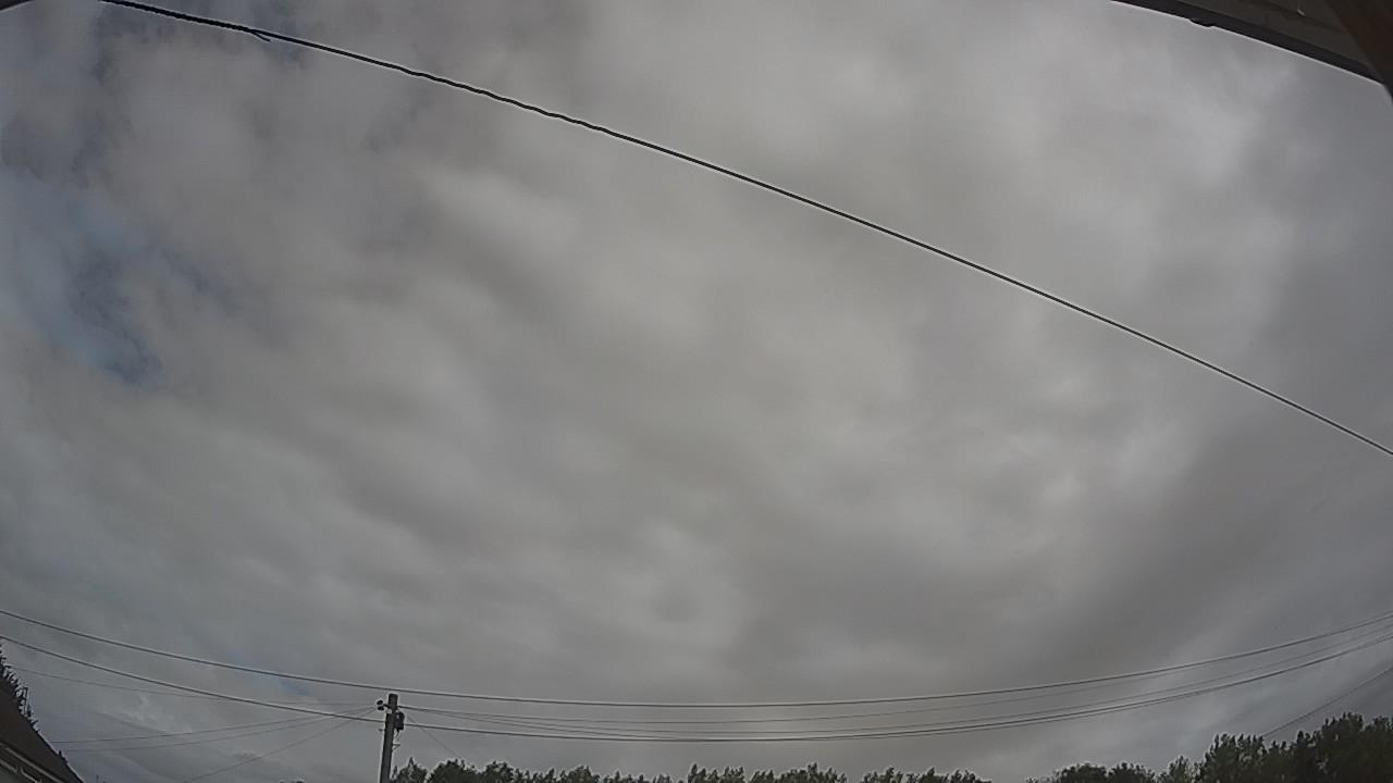 20260731_095111_cam2.jpg