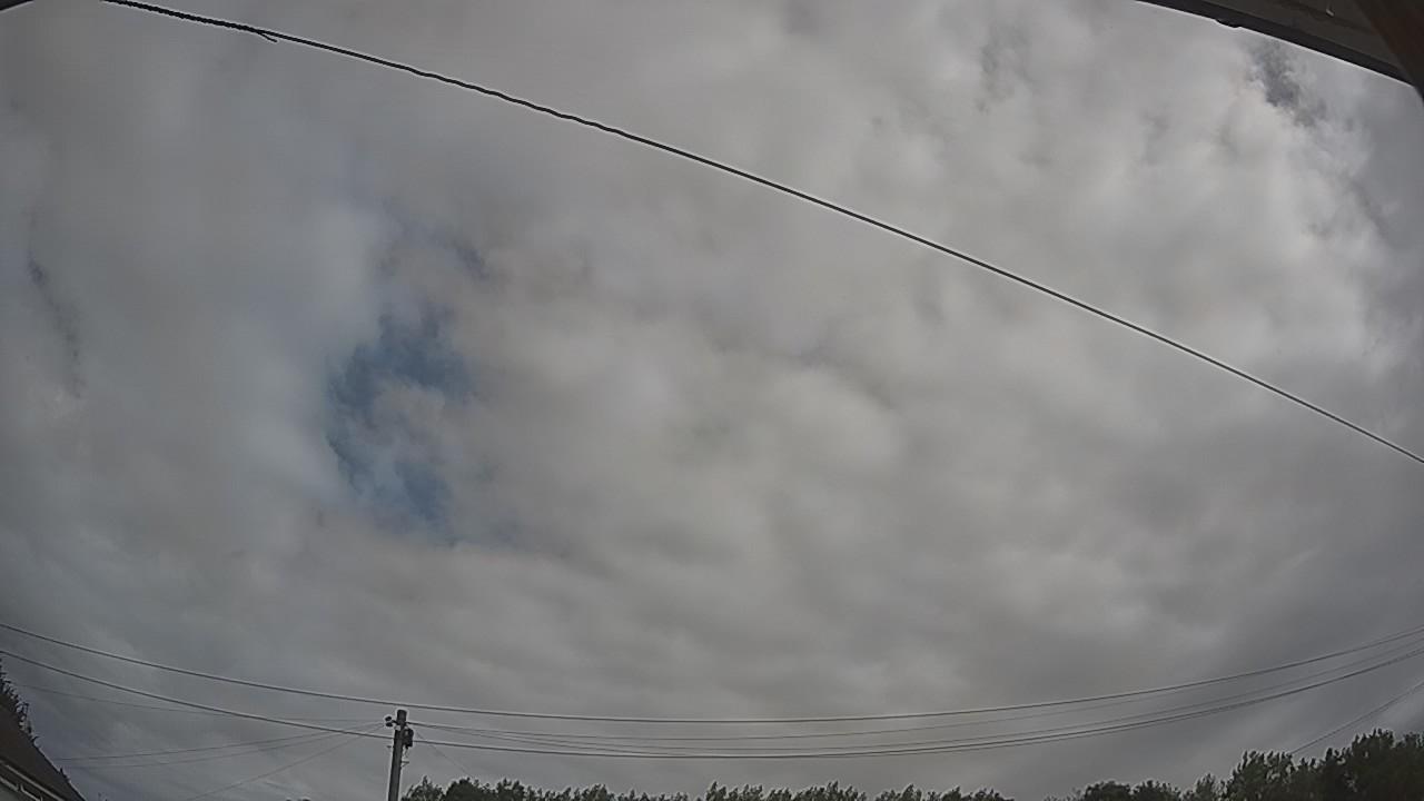 20260731_095444_cam2.jpg