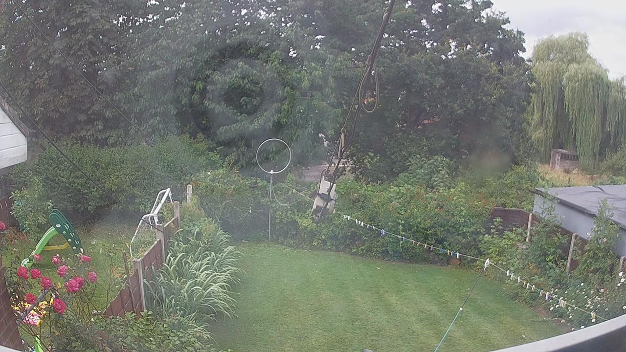 20260731_095853_cam1.jpg