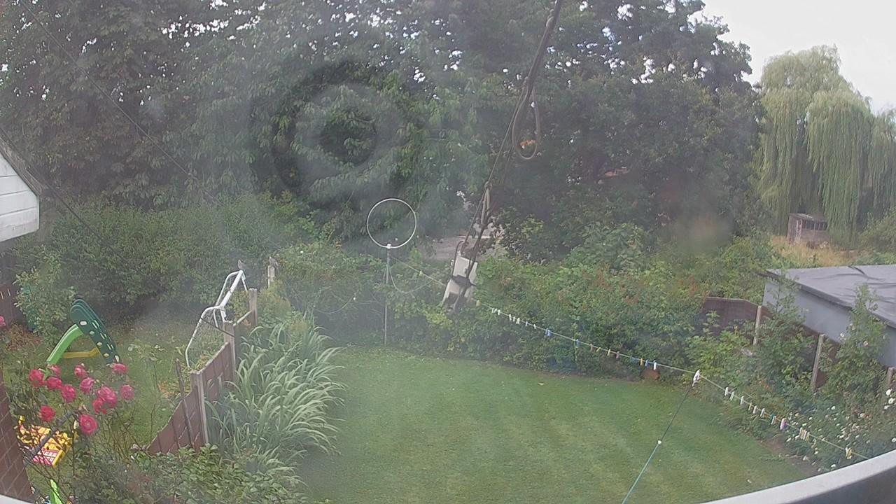 20260731_101530_cam1.jpg
