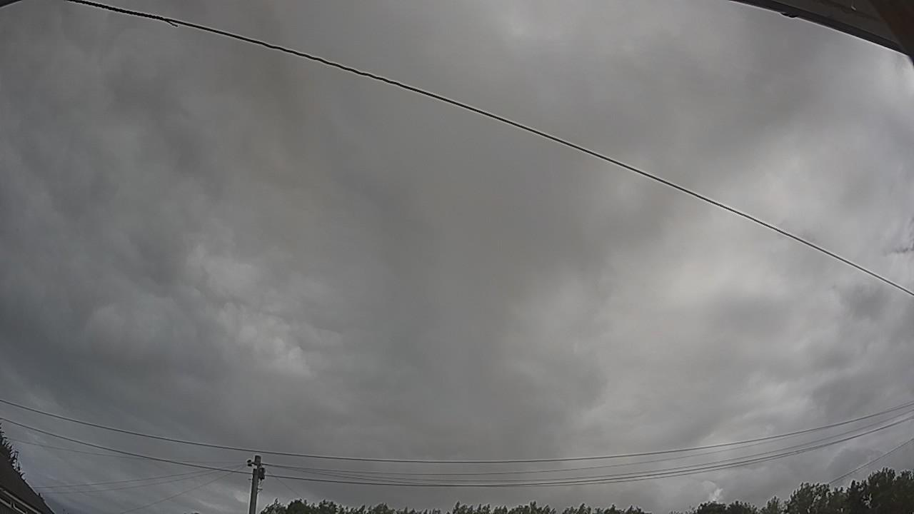 20260731_101531_cam2.jpg