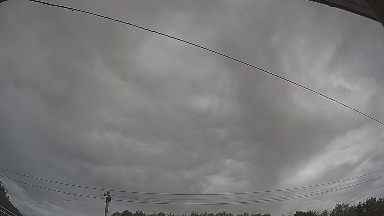 20260731_101941_cam2.jpg