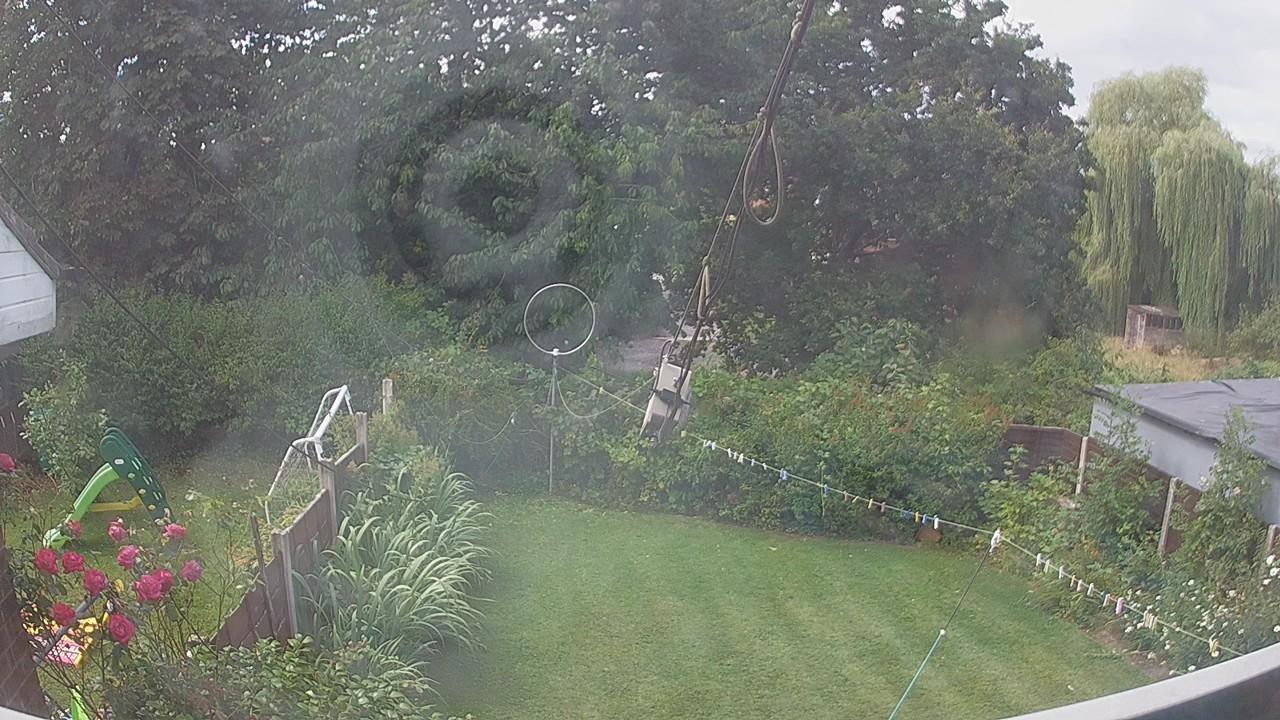 20260731_103131_cam1.jpg