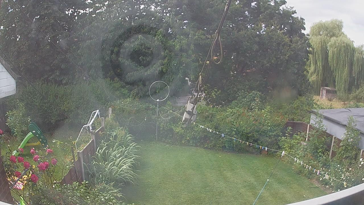 20260731_103504_cam1.jpg
