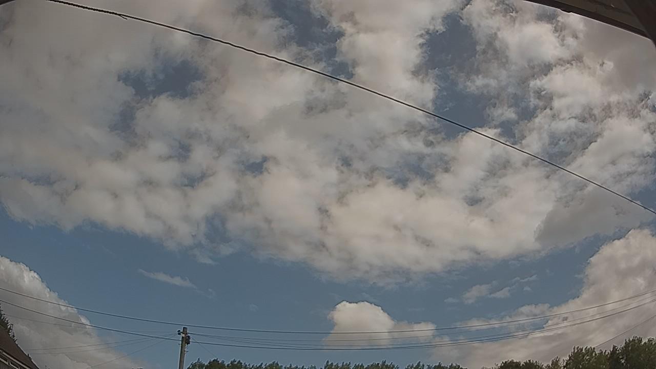 20260731_104544_cam2.jpg
