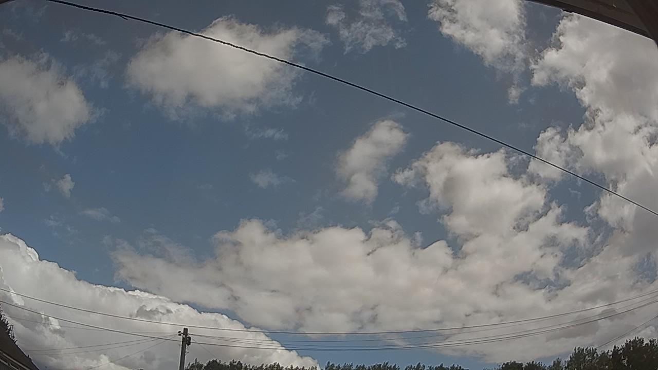 20260731_105624_cam2.jpg