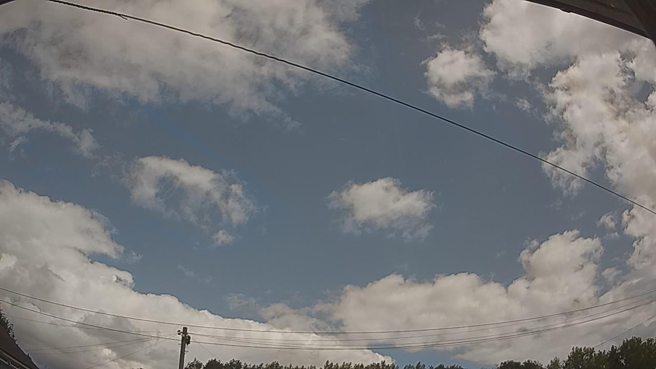 20260731_110015_cam2.jpg