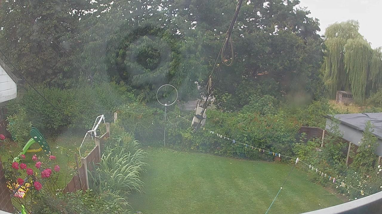 20260731_110405_cam1.jpg