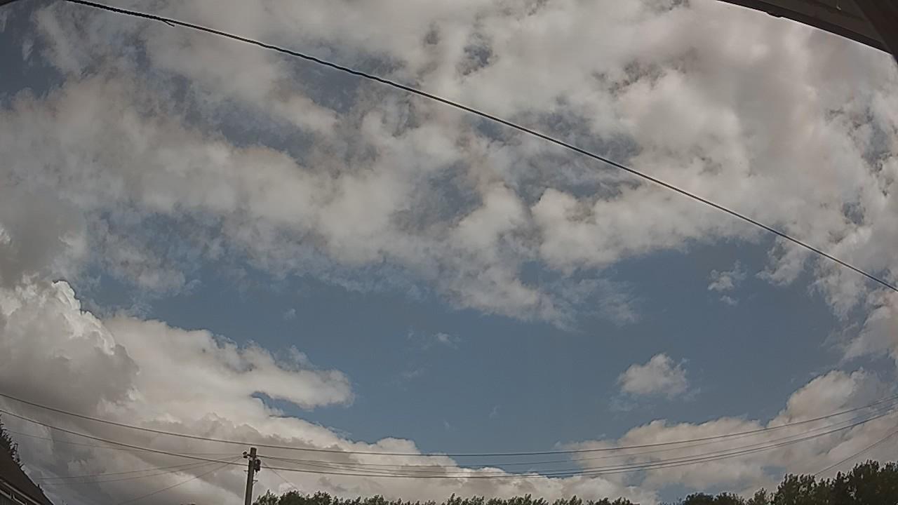 20260731_110406_cam2.jpg