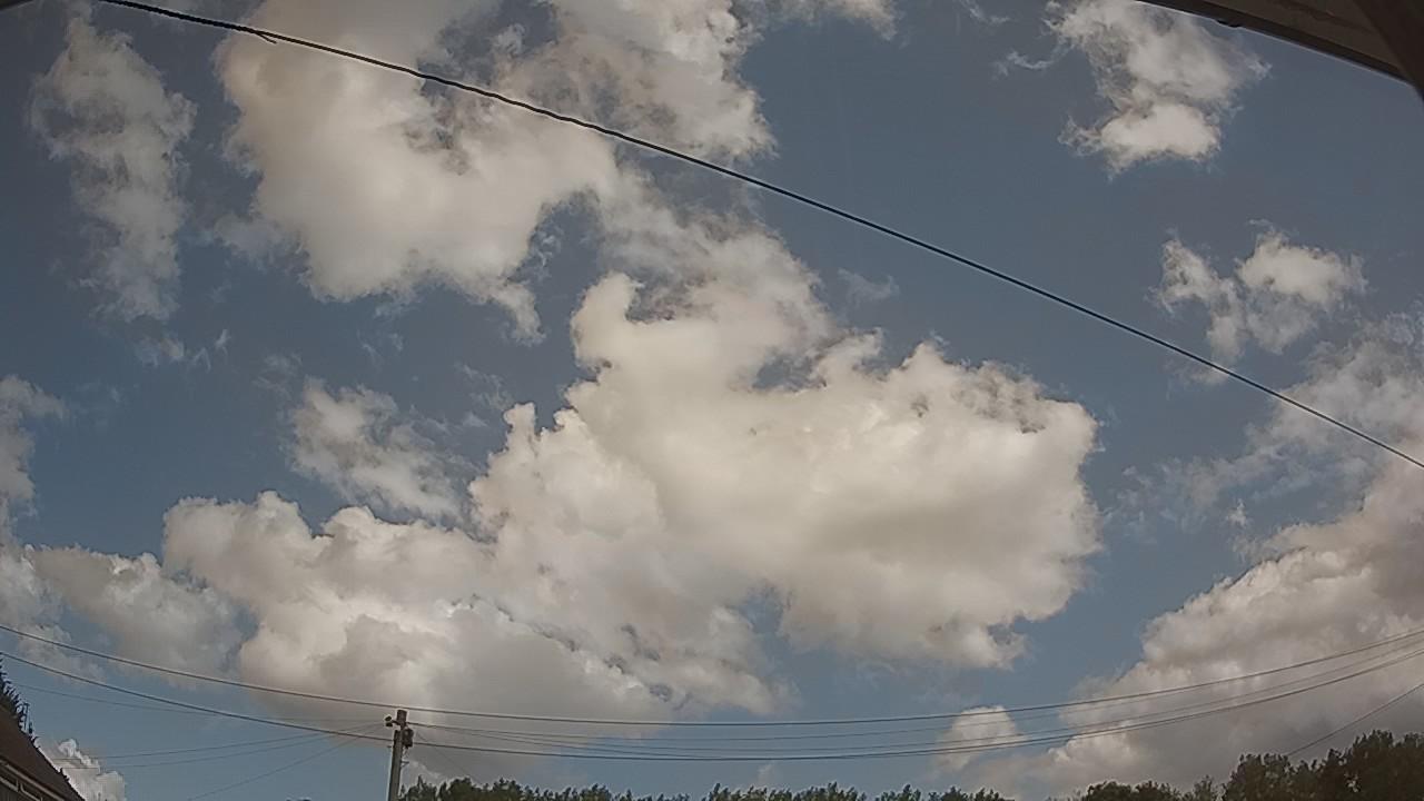 20260731_113417_cam2.jpg