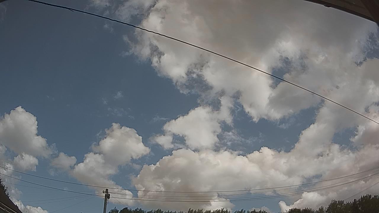 20260731_113750_cam2.jpg