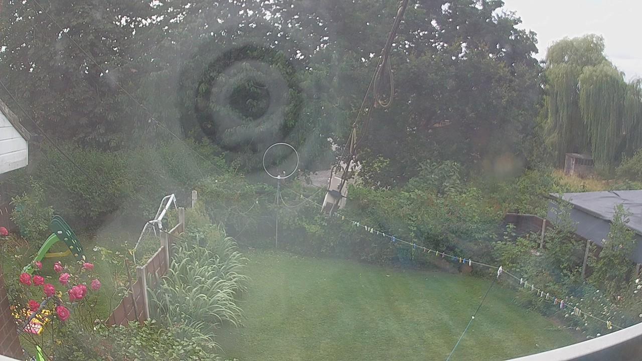 20260731_114828_cam1.jpg