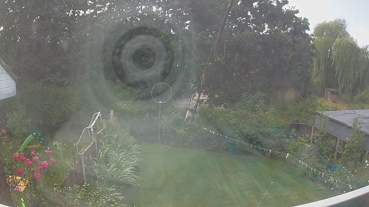 20260731_125226_cam1.jpg