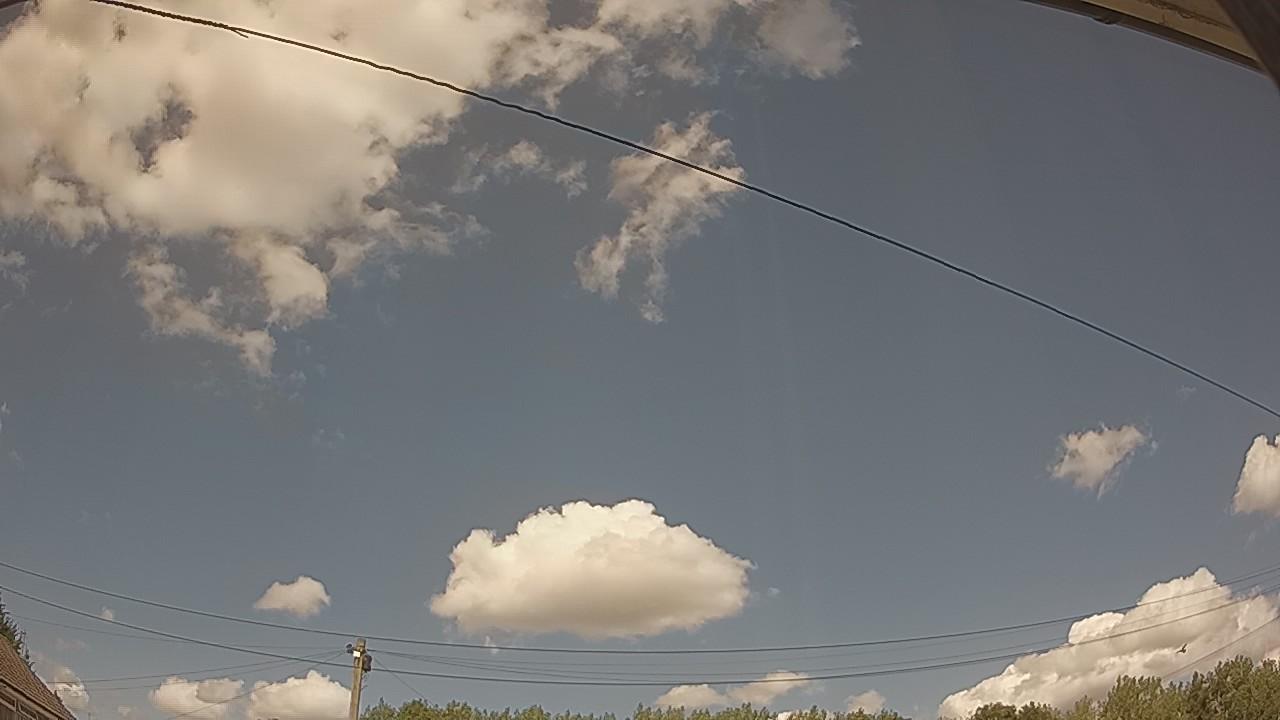 20260731_135551_cam2.jpg