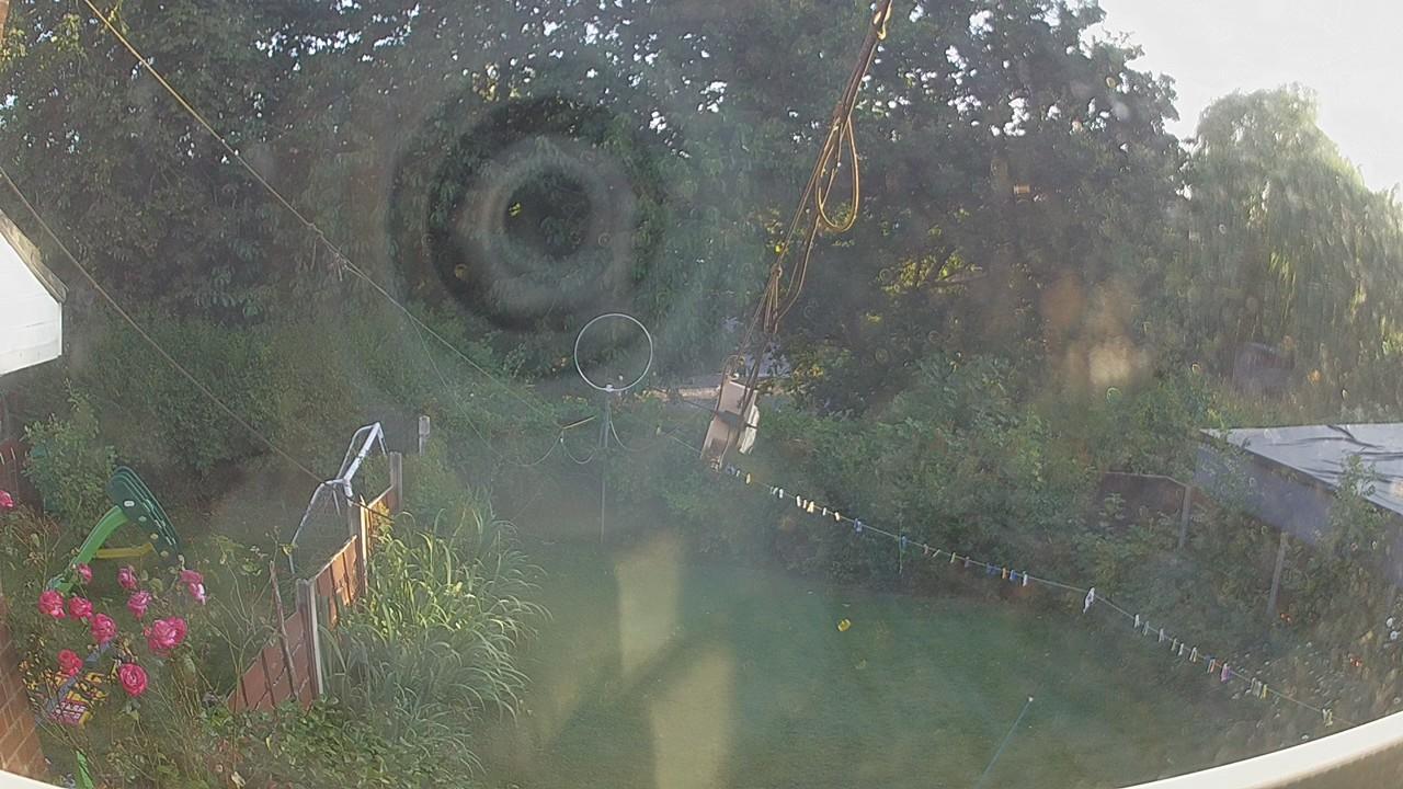 20260731_184955_cam1.jpg