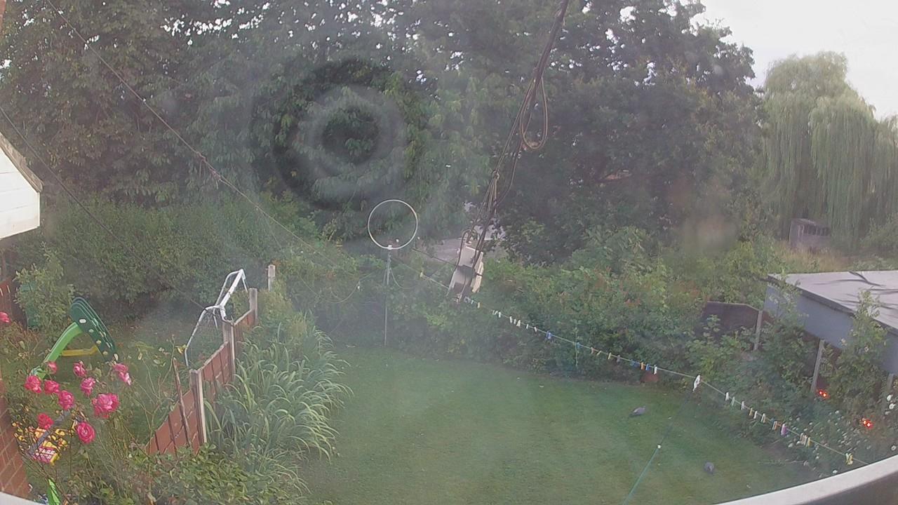 20260731_194802_cam1.jpg