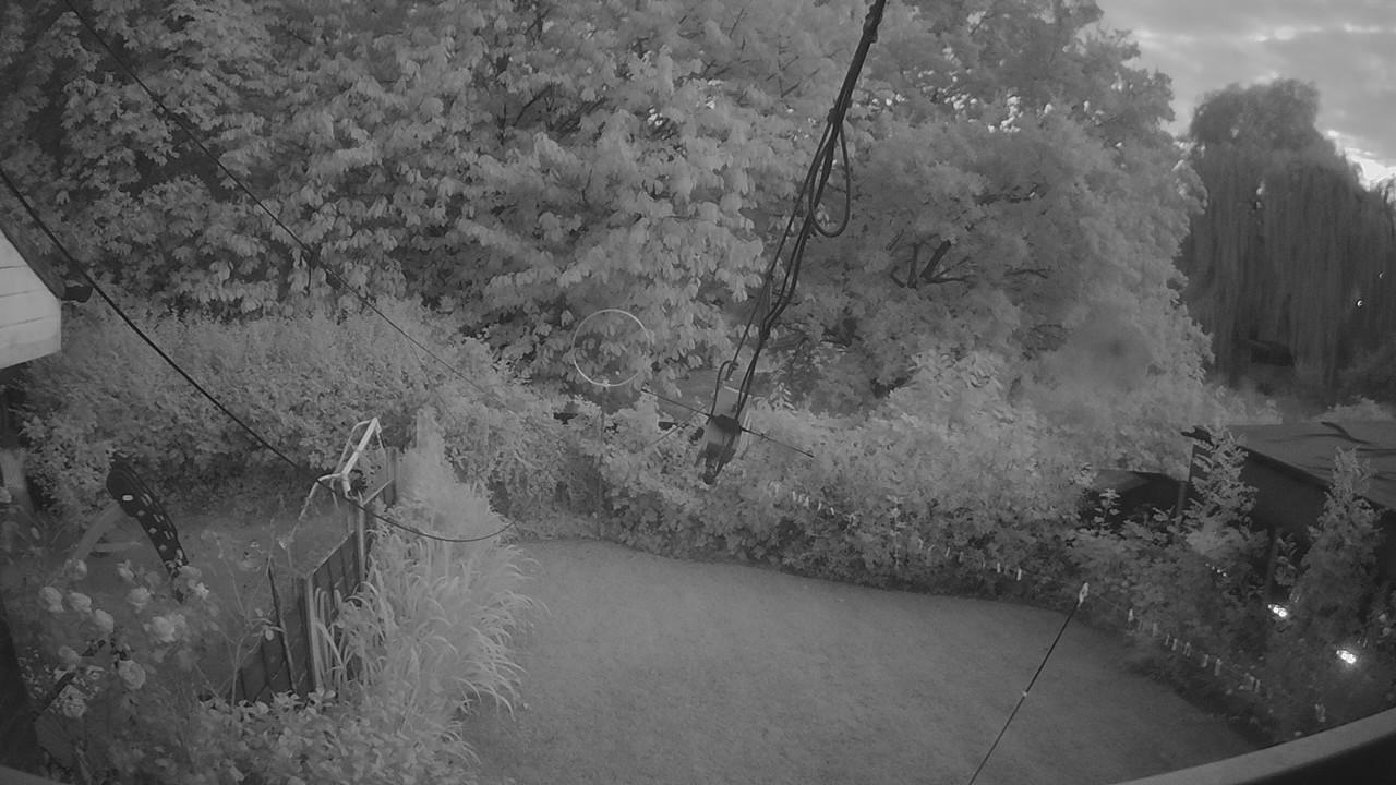 20260731_203916_cam1.jpg
