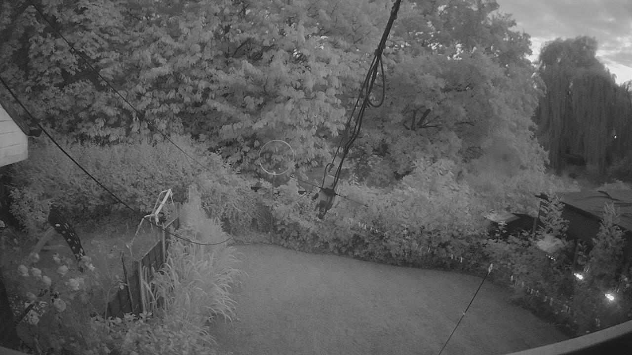 20260731_204325_cam1.jpg